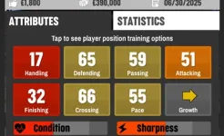Screenshot Football Club Management 2023