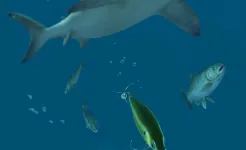 Screenshot Rapala Fishing – Daily Catch