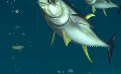 Screenshot Rapala Fishing – Daily Catch