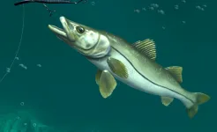 Screenshot Rapala Fishing – Daily Catch
