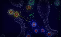 Screenshot Microcosmum: survival of cells