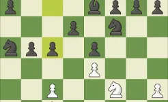 Screenshot Шахматы · Играйте и учитесь