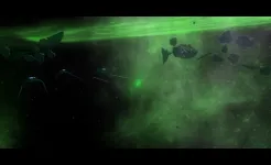 Screenshot Stellar Wanderer