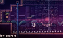 Screenshot Reed 2