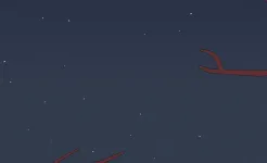 Screenshot Bird Alone