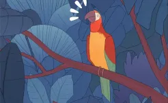 Screenshot Bird Alone