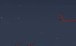 Screenshot Bird Alone