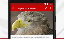 Screenshot BBC News