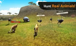 Screenshot The Cheetah