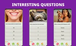 Screenshot QuizzLand: онлайн викторина