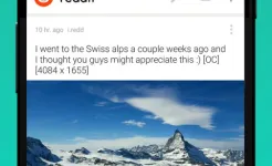 Screenshot Reddit: The Official App