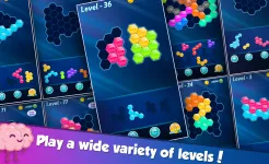 Screenshot Block! Hexa Puzzle™