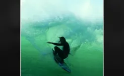 Screenshot VSCO: Редактор фото и видео