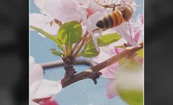 Screenshot VSCO: Редактор фото и видео