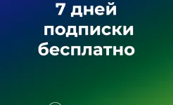 Screenshot SPB TV Россия