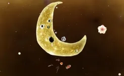 Screenshot Botanicula