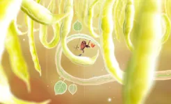 Screenshot Botanicula