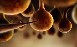 Screenshot Botanicula