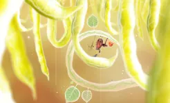 Screenshot Botanicula