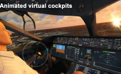 Screenshot Aerofly FS 2023