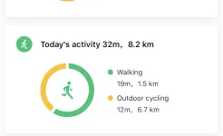 Screenshot Mi Fit