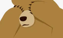 Screenshot TunnelBear VPN