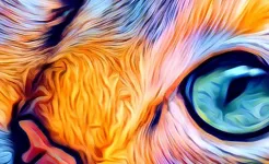 Screenshot Painnt - Pro Art Filters