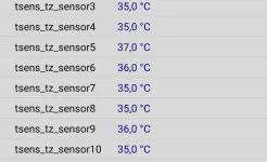 Screenshot CPU-Z Premium