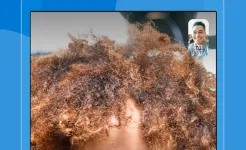 Screenshot Skype