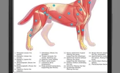 Screenshot Dog Anatomy: Canine 3D