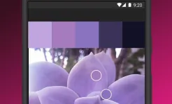 Screenshot Adobe Capture: создание узоров и векторной графики
