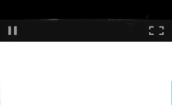 Screenshot All Video Downloader