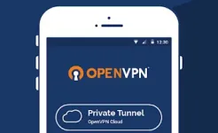 Screenshot OpenVPN Connect