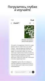 Screenshot ChatGPT