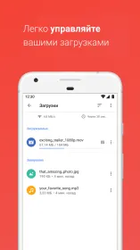 Screenshot Браузер Opera с бесплатным VPN