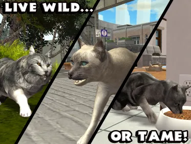 Screenshot Ultimate Cat Simulator