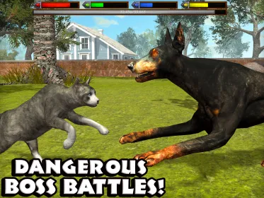 Screenshot Ultimate Cat Simulator