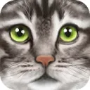 Ultimate Cat Simulator
