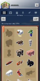 Screenshot Minecraft Earth