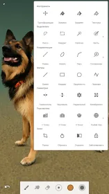 Screenshot Infinite Painter