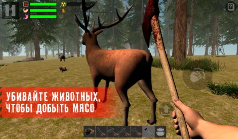 Screenshot The Survivor: Rusty Forest
