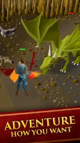 Screenshot Old School RuneScape