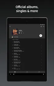 Screenshot YouTube Music