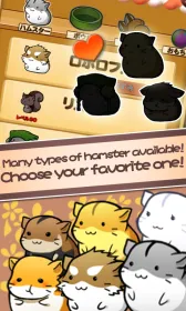 Screenshot Hamster Life – Жизнь хомяка