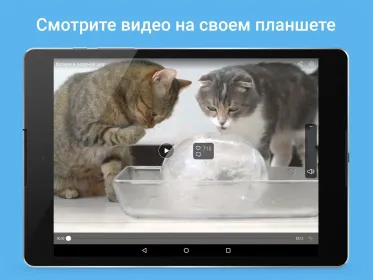 Screenshot Мой Мир