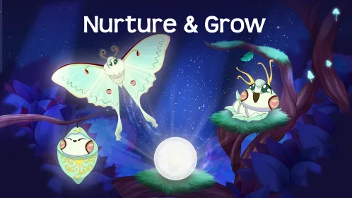 Screenshot Flutter: Starlight
