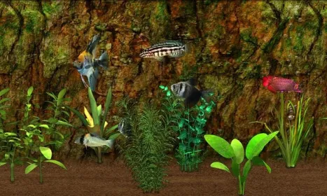 Screenshot Fish Farm