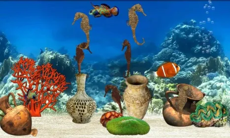 Screenshot Fish Farm
