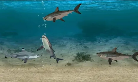 Screenshot Fish Farm