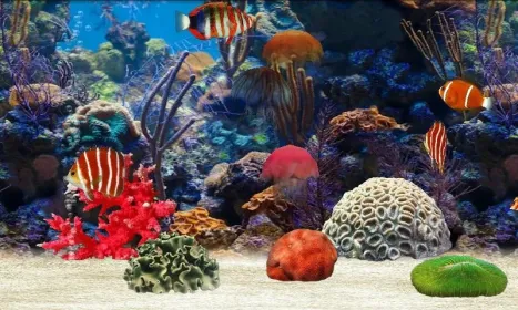 Screenshot Fish Farm